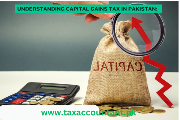 Money bag with the word Capital and an up arrow. The concept of accumulation and increase in money capital. Increase in capital gains taxes. Increase in the number value of the company's shares.