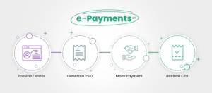 IRIS payments