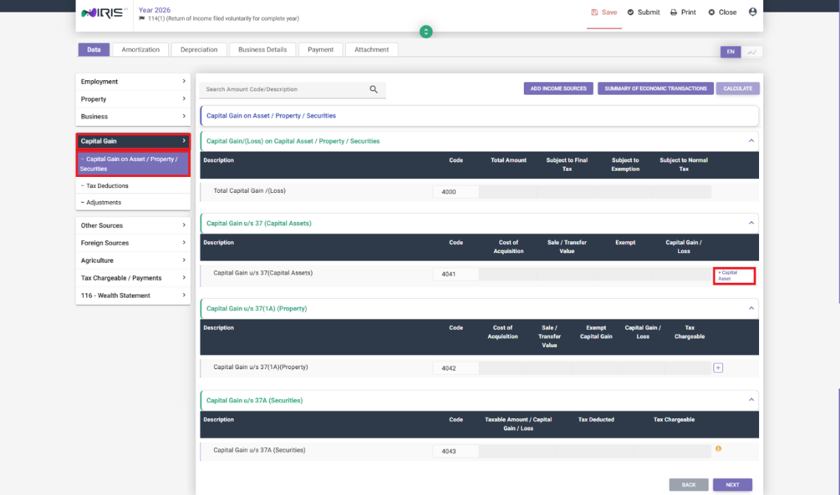 Capital Gain on Asset/Property/Securities tab in IRIS