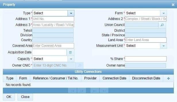How to Register for FBR IRIS in Pakistan (2026 Guide) 1 Property Information form in IRIS registration