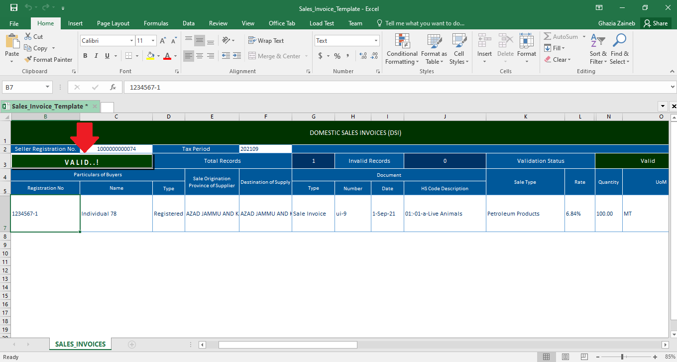 How to Bulk Import Sales Invoices in IRIS Using the Excel Template 2 Excel Sales Invoice Template with offline Validate button showing Valid status
