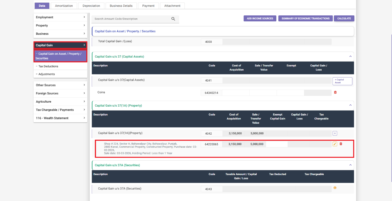 Capital Gain on Property filled with example figures in IRIS