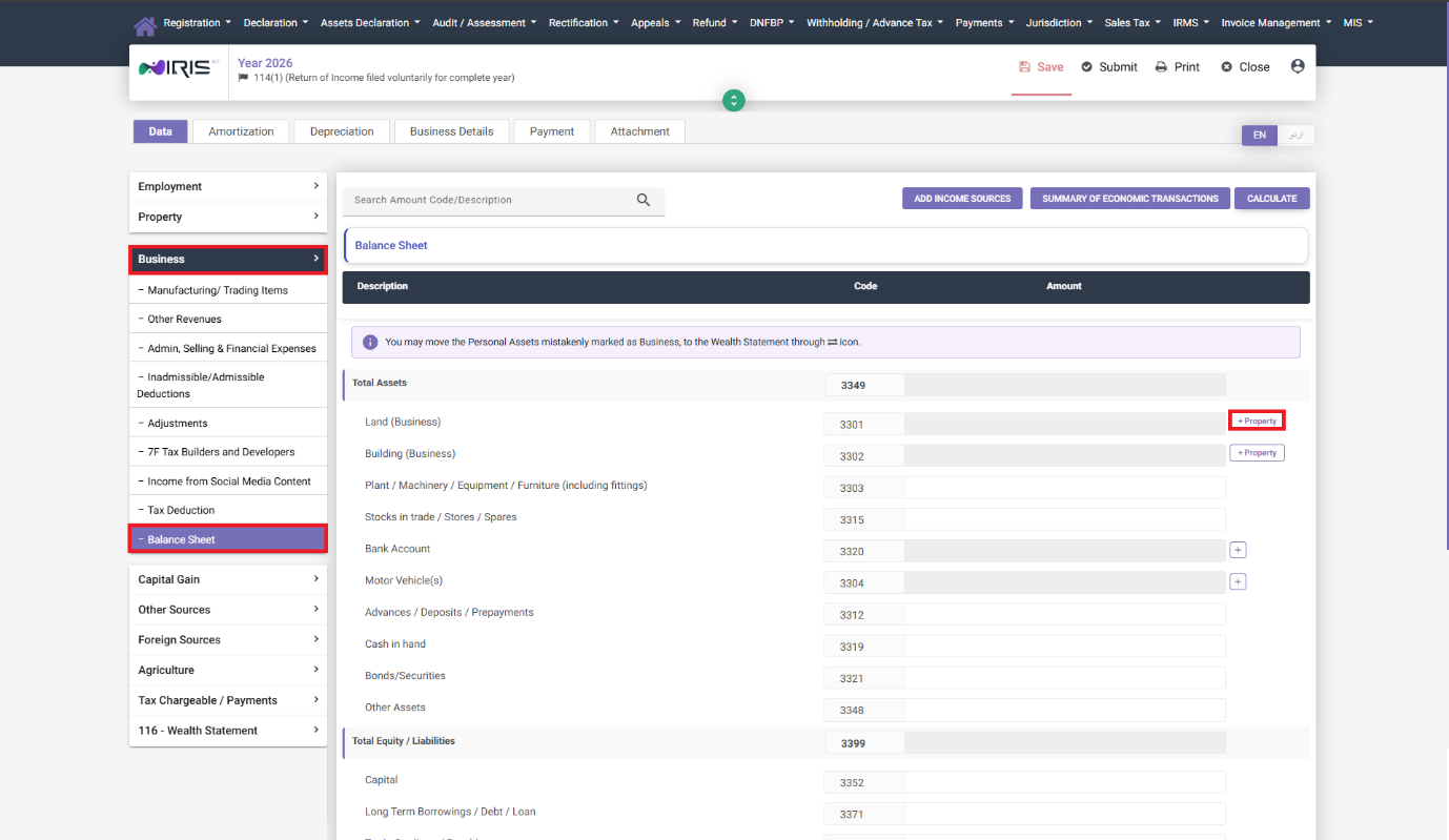 Balance Sheet tab in IRIS Business section