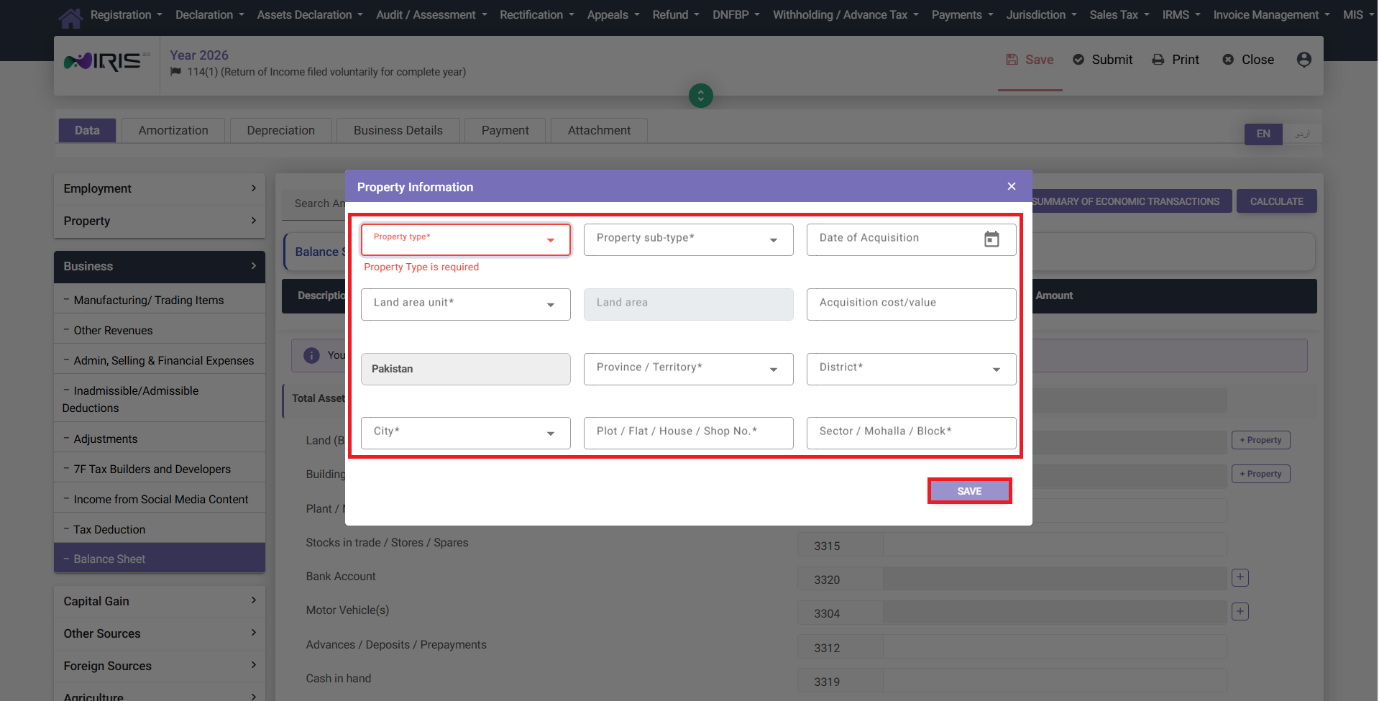 Balance Sheet Property Information modal in IRIS