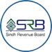 revinew services in pakistan